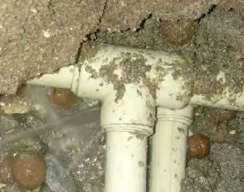 秀洲测漏水多少钱