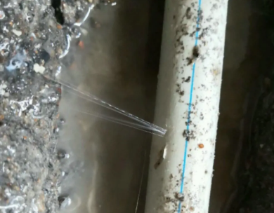 秀洲测漏水哪家好