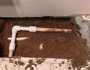 秀洲测漏水哪家好