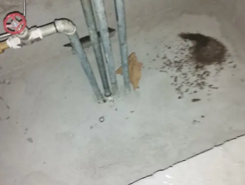 秀洲卫生间测漏水价格明细