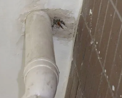 秀洲漏水检测哪家好